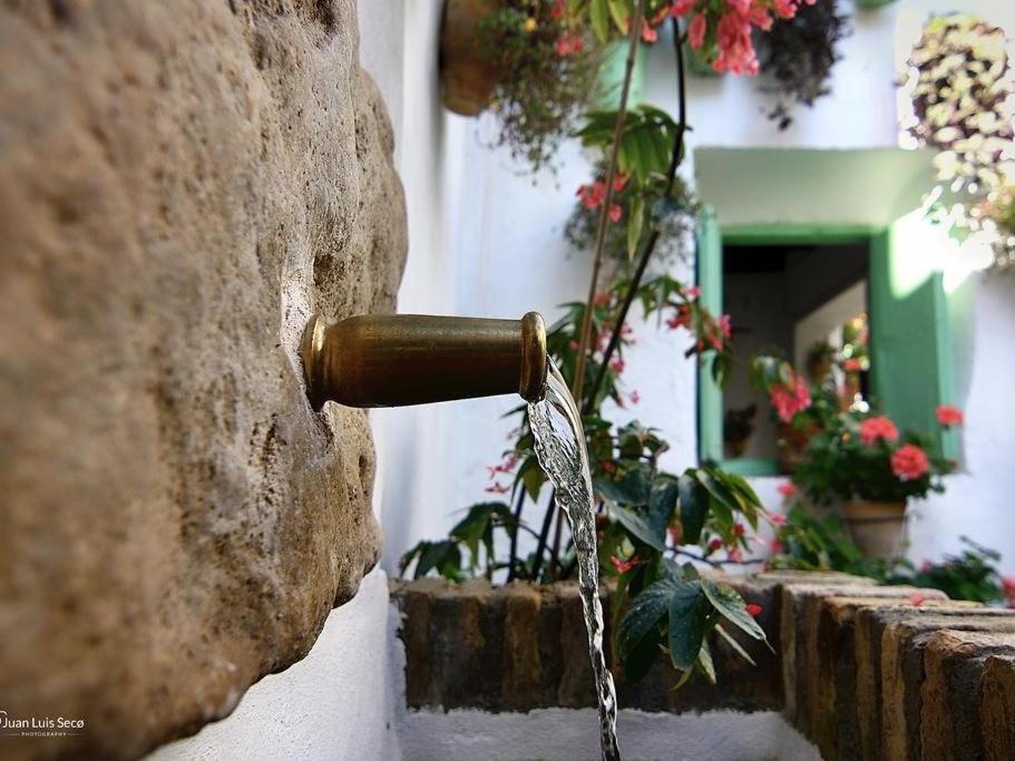 La Casa De La Costurera Apartment Kordoba Bagian luar foto